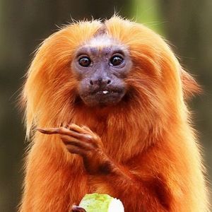 Meet your Posher, Stephaney